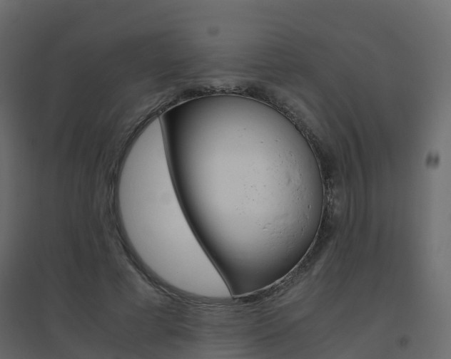 X0000096640593200802050959