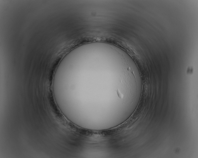 X0000096640594200802050959