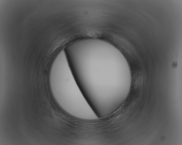 X0000096640595200802050959