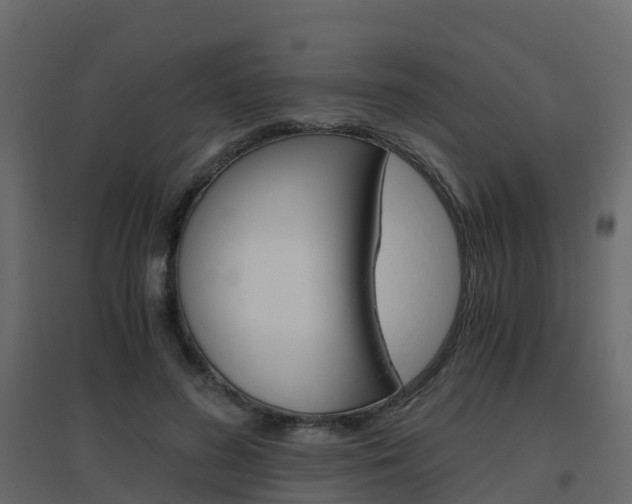 X0000096640596200802050959