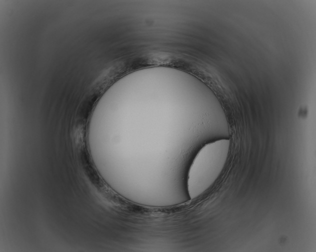 X0000096640598200802050959
