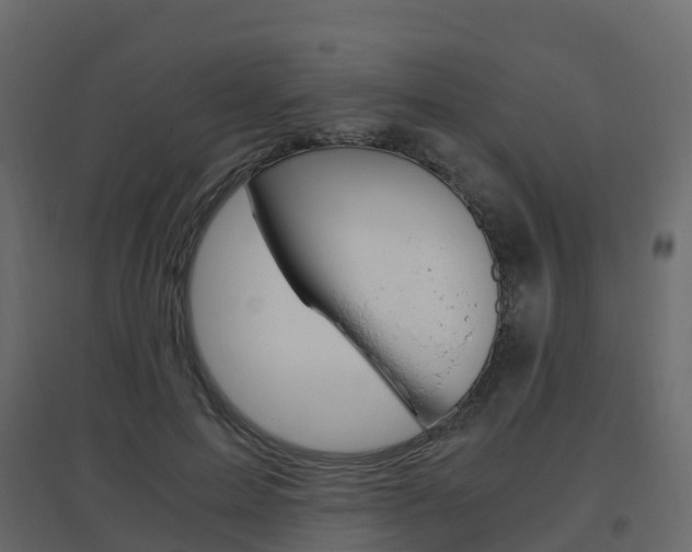 X0000096640599200802050959