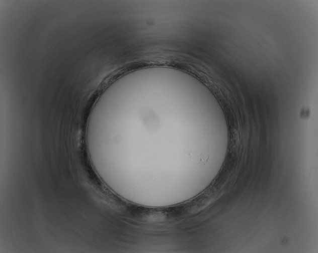 X0000096640600200802050959
