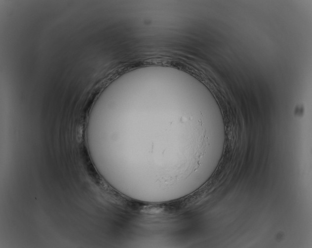 X0000096640602200802050959