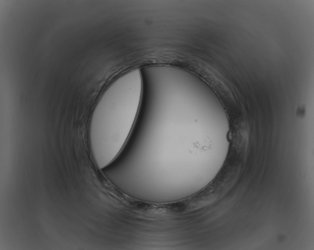 X0000096640604200802050959