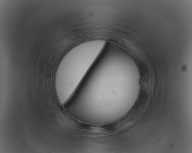 X0000096640605200802050959
