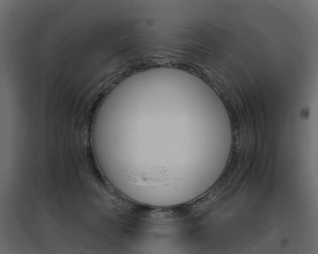 X0000096640606200802050959
