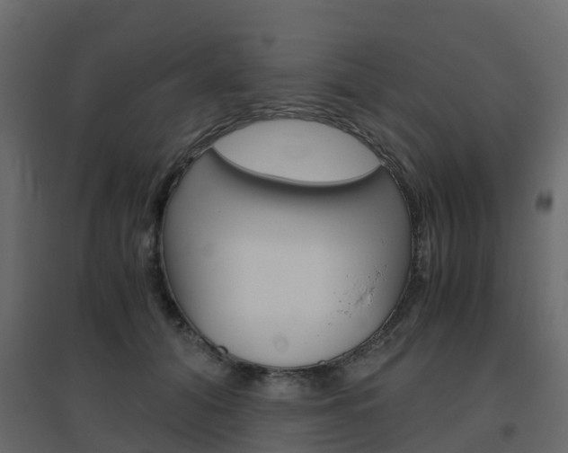 X0000096640608200802050959