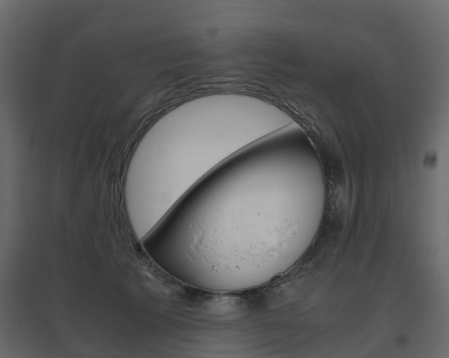 X0000096640609200802050959