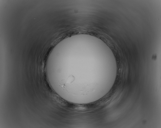 X0000096640610200802050959
