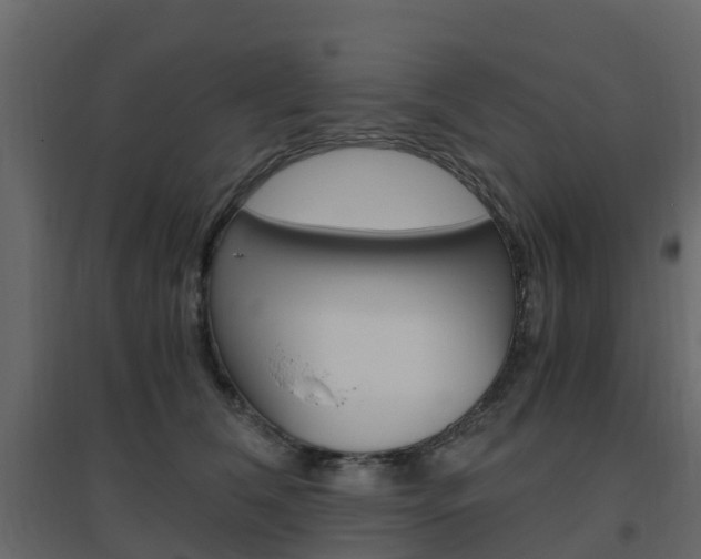 X0000096640612200802050959