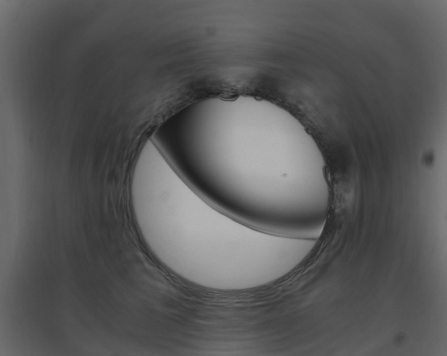 X0000096640613200802050959