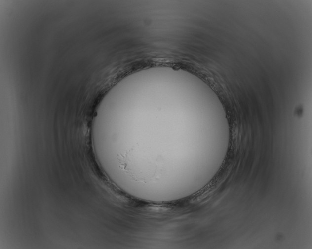 X0000096640614200802050959