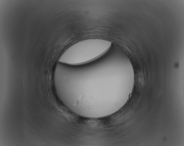 X0000096640615200802050959