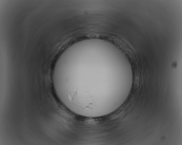 X0000096640616200802050959