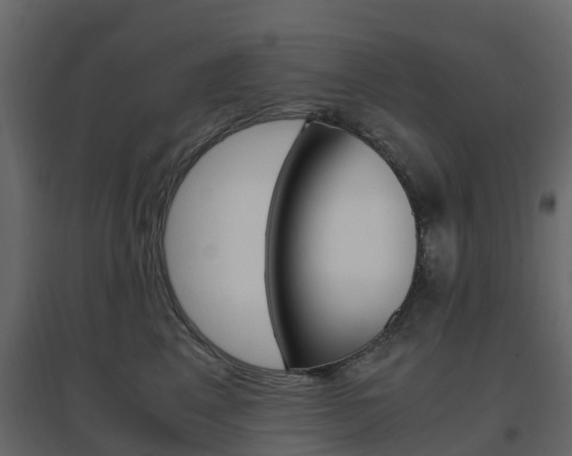 X0000096640617200802050959