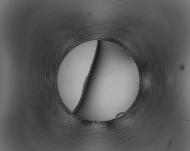 X0000096640619200802050959