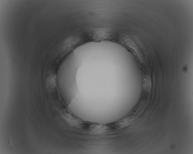X0000096640621200802050959