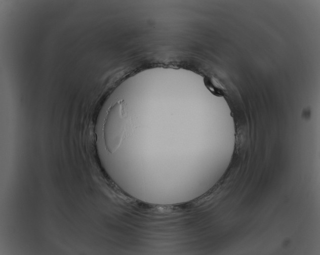 X0000096640623200802050959