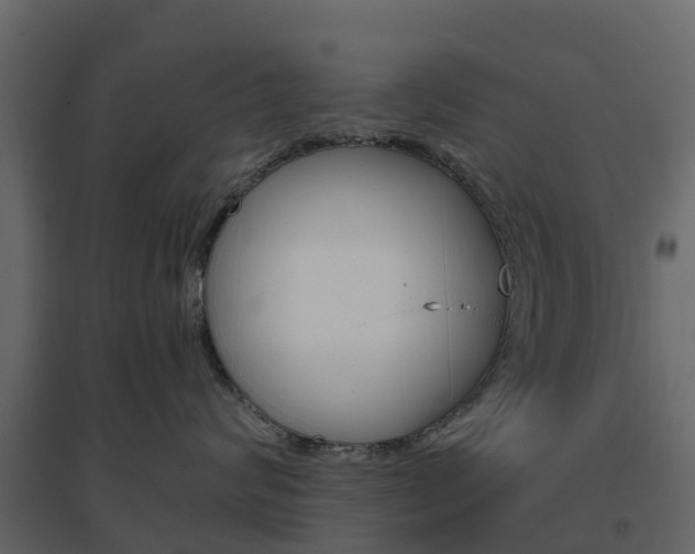 X0000096640624200802050959