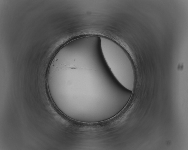 X0000096640625200802050958