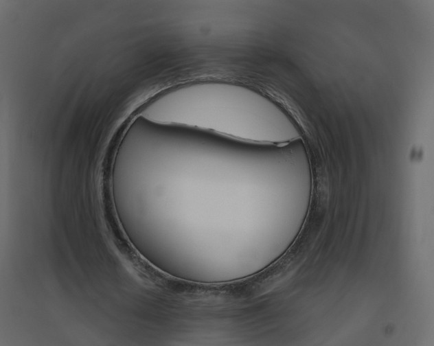 X0000096640626200802050958