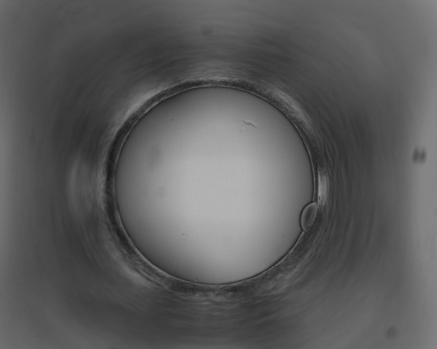 X0000096640627200802050958