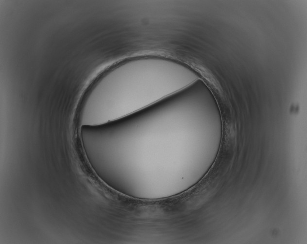 X0000096640628200802050958