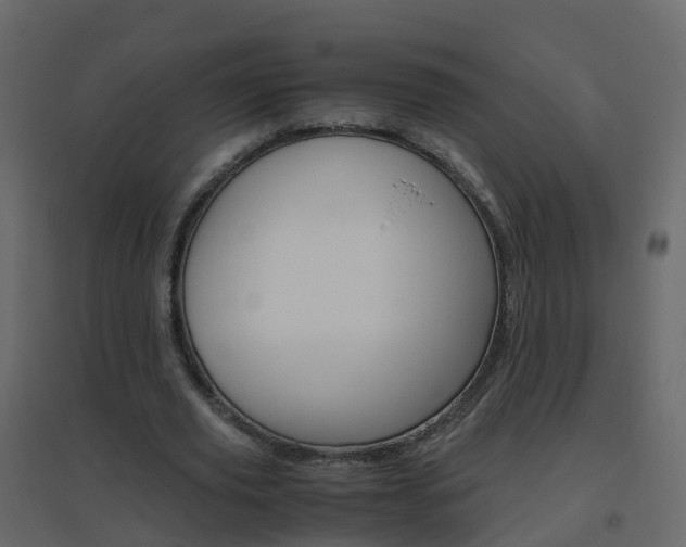 X0000096640629200802050958