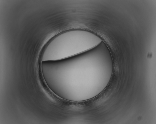 X0000096640630200802050958