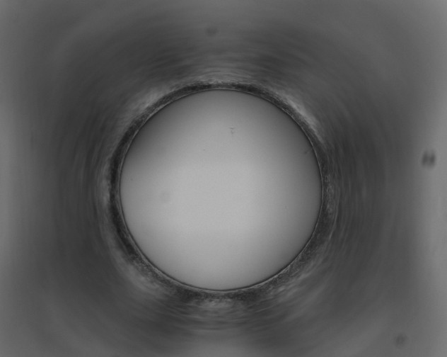 X0000096640631200802050958