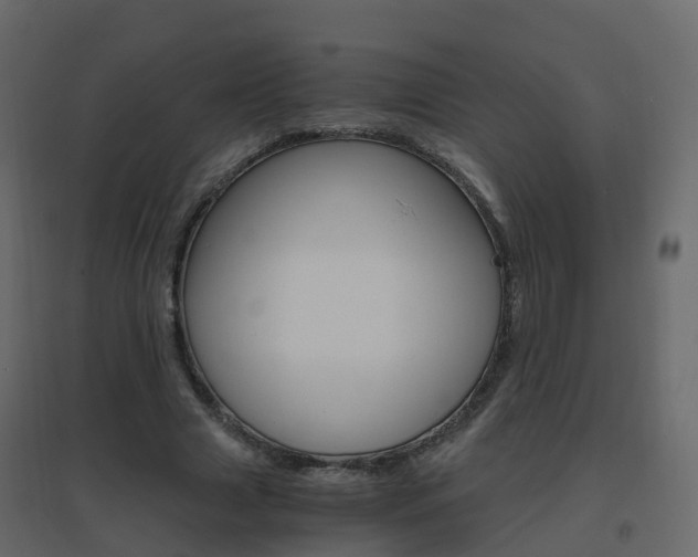X0000096640633200802050958