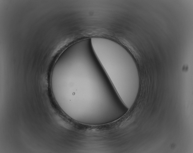 X0000096640634200802050958