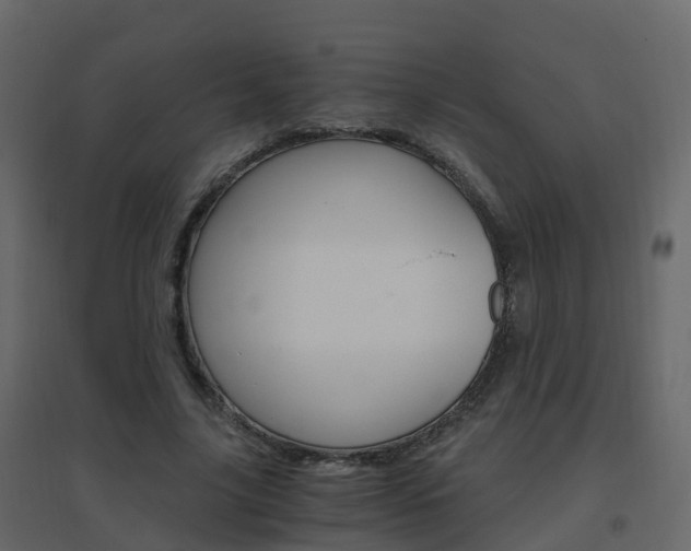 X0000096640635200802050958