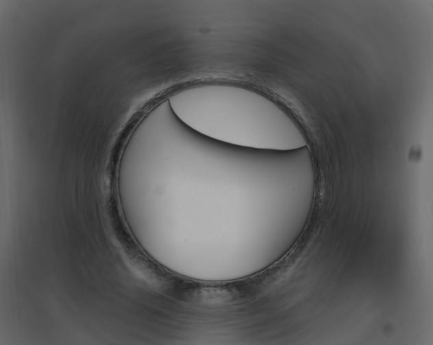 X0000096640636200802050958