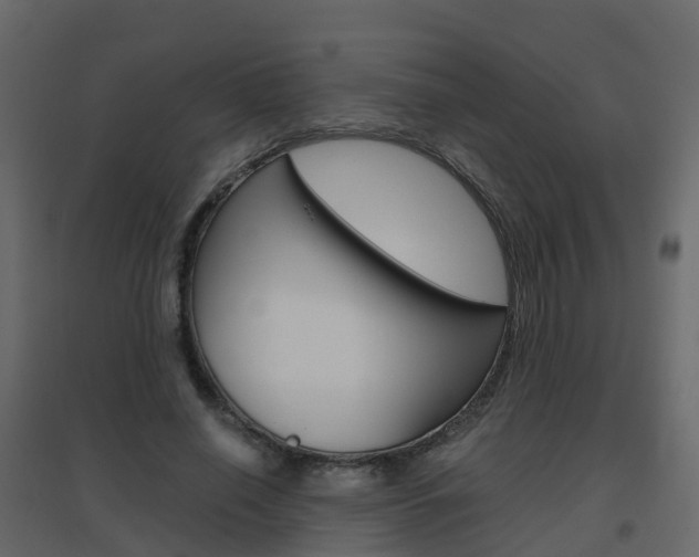 X0000096640638200802050958