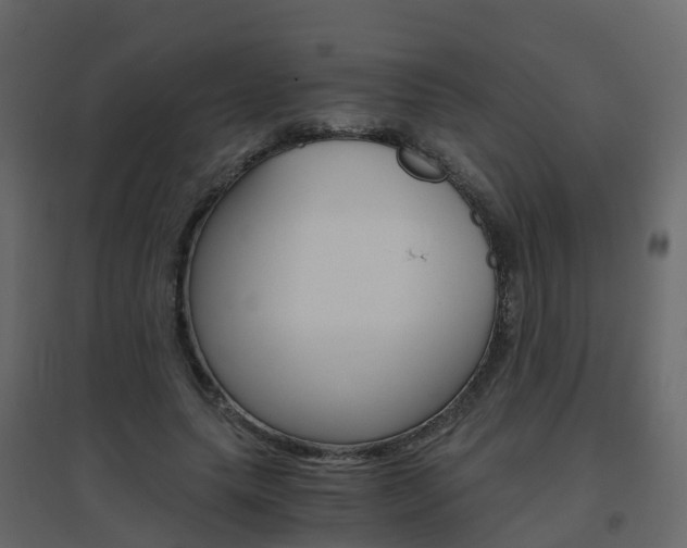X0000096640639200802050958