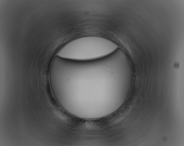 X0000096640641200802050958