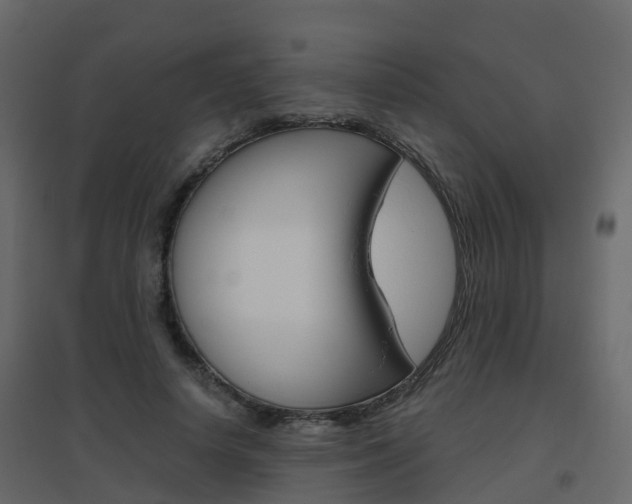 X0000096640642200802050958