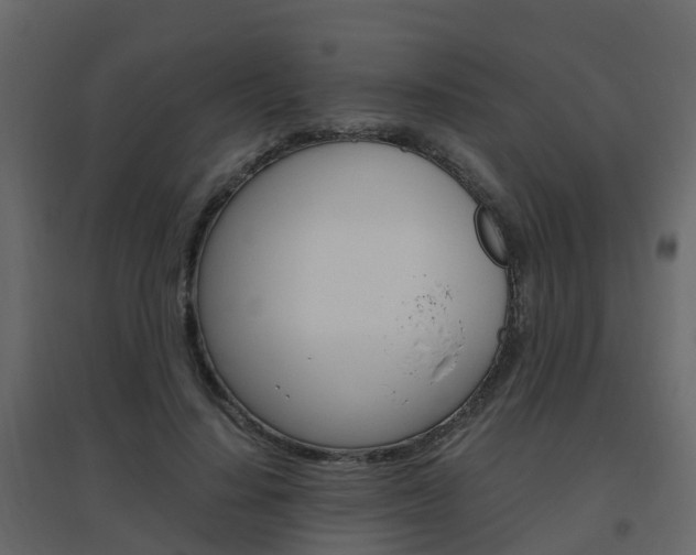X0000096640644200802050958