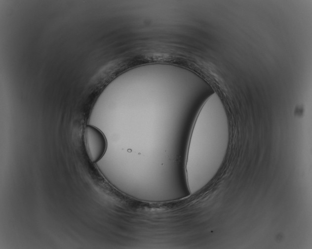 X0000096640645200802050958
