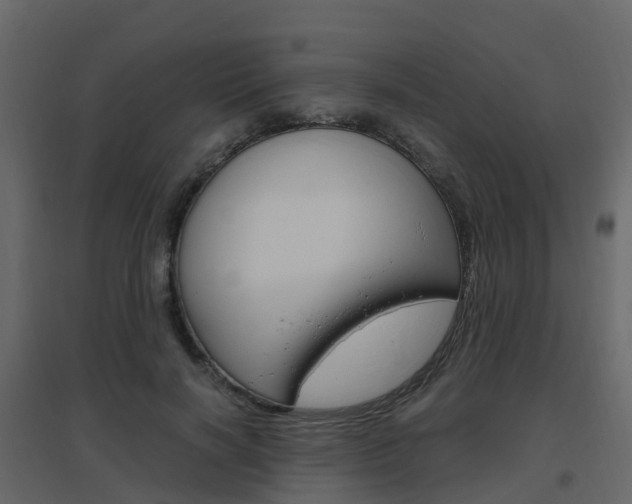X0000096640646200802050958