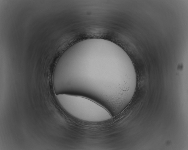 X0000096640647200802050959