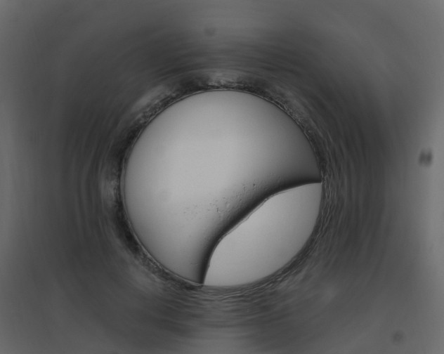X0000096640648200802050959