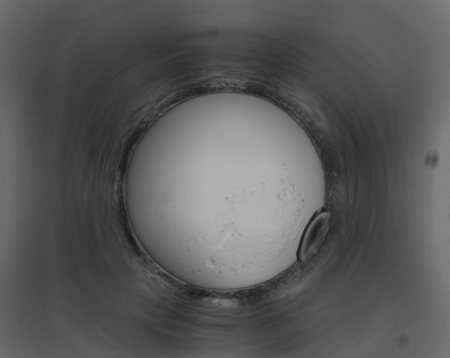 X0000096640649200802050959
