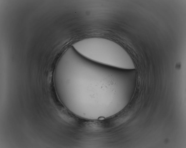 X0000096640652200802050959