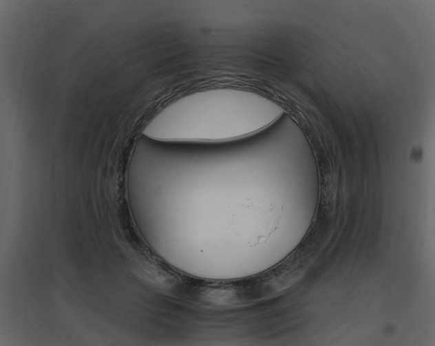 X0000096640653200802050959