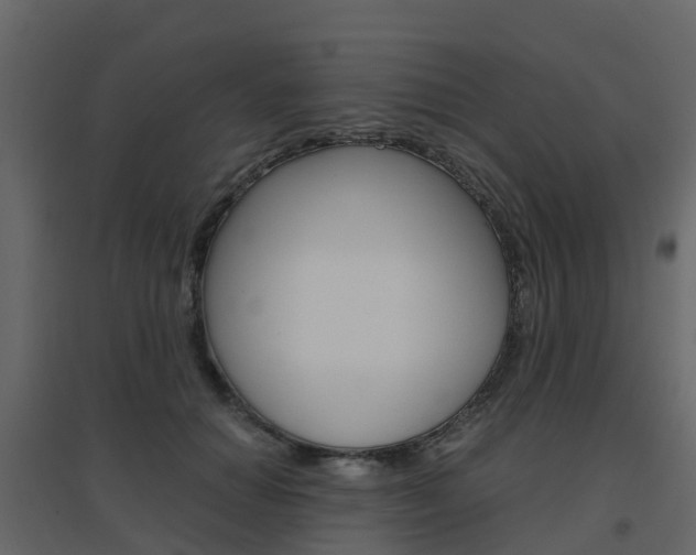 X0000096640654200802050959