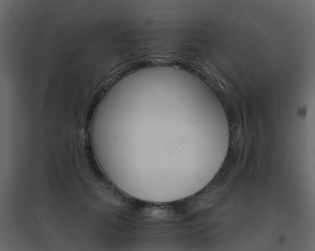 X0000096640655200802050959