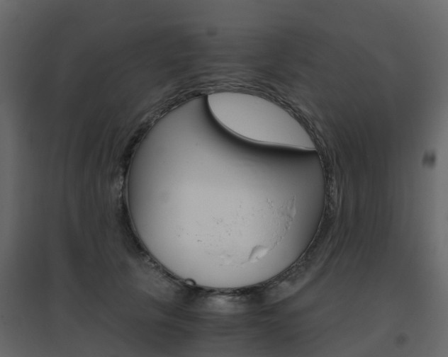 X0000096640657200802050959